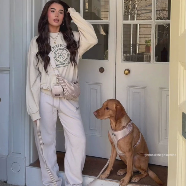 London Linen Stripes Adjustable Neck HARNESS