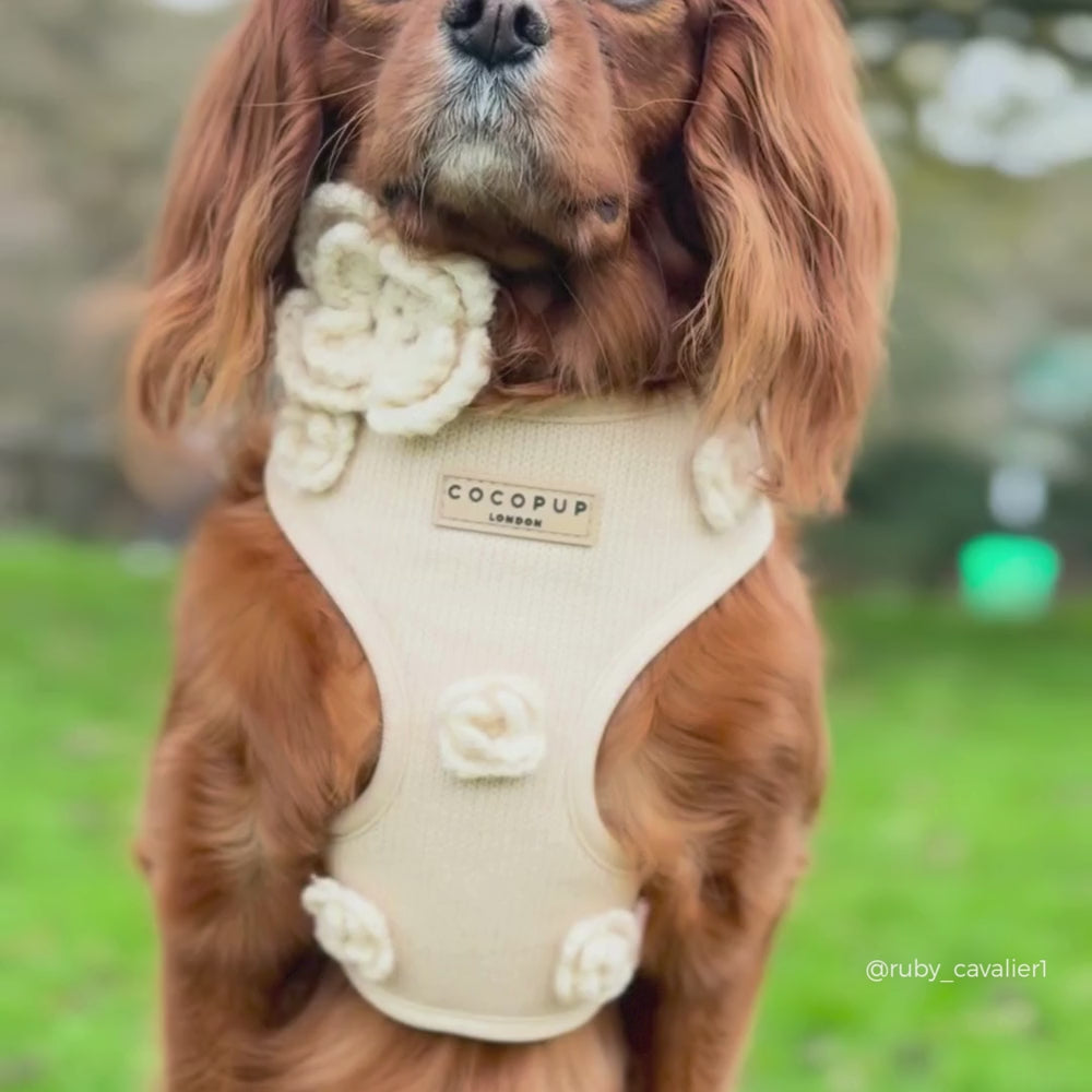 Petal Patch Adjustable Neck HARNESS