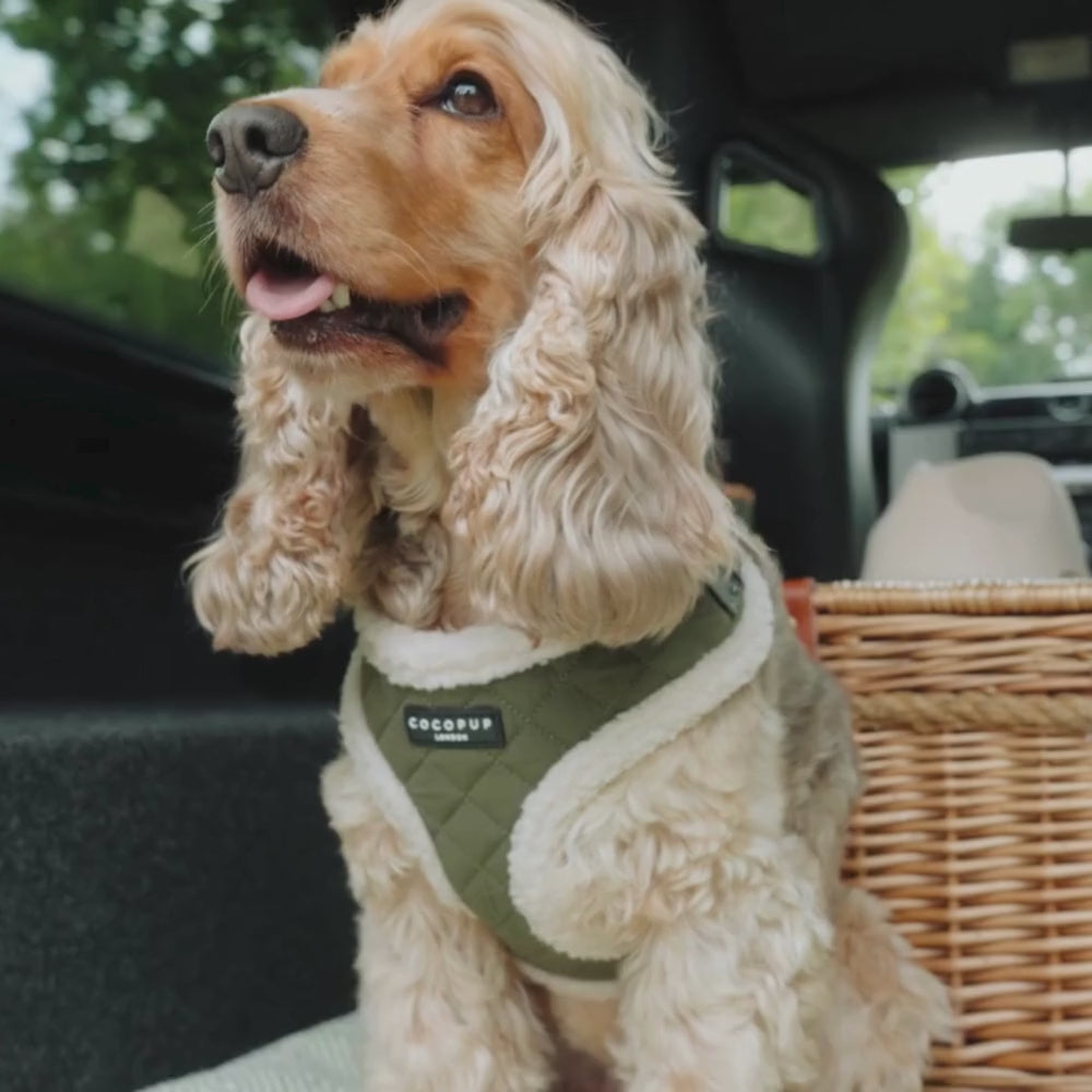 Khaki Quilted Adjustable Neck Harness