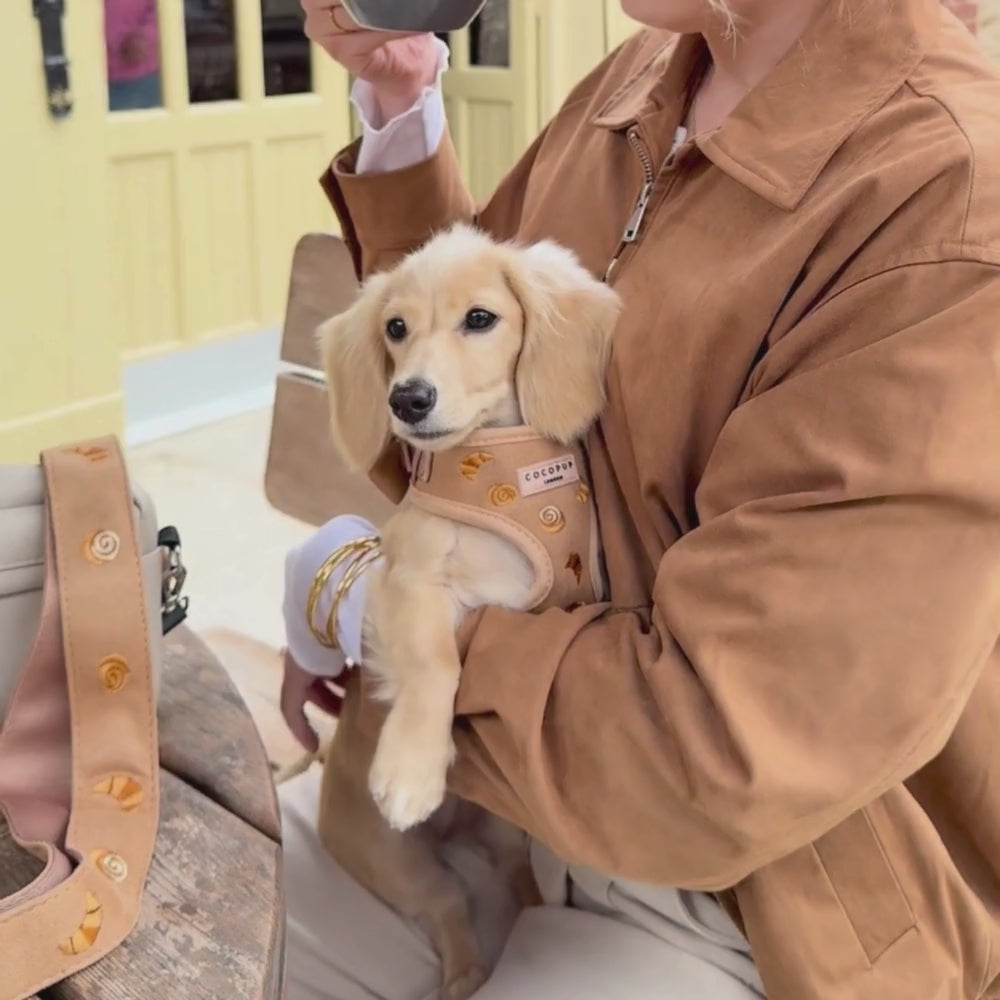 Pawtisserie Adjustable Neck HARNESS