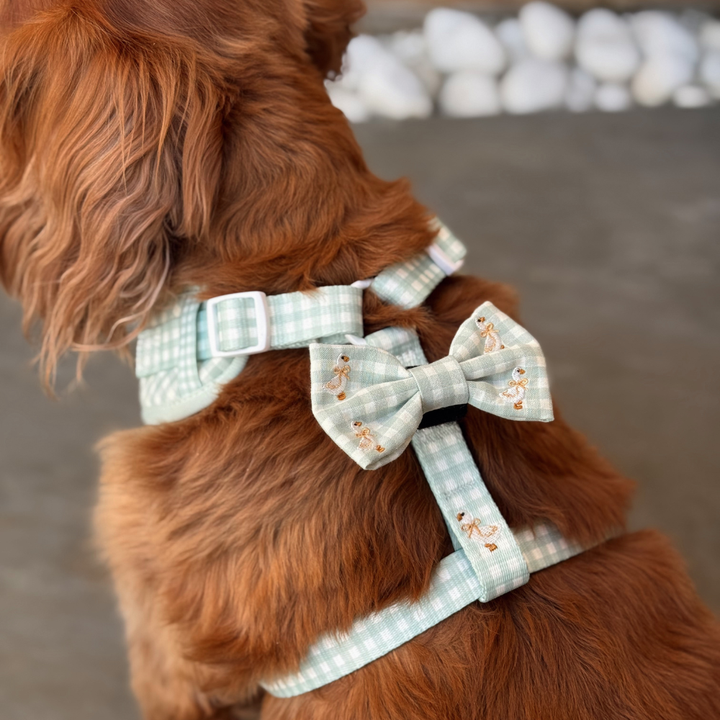 Silly Goose Bow Tie
