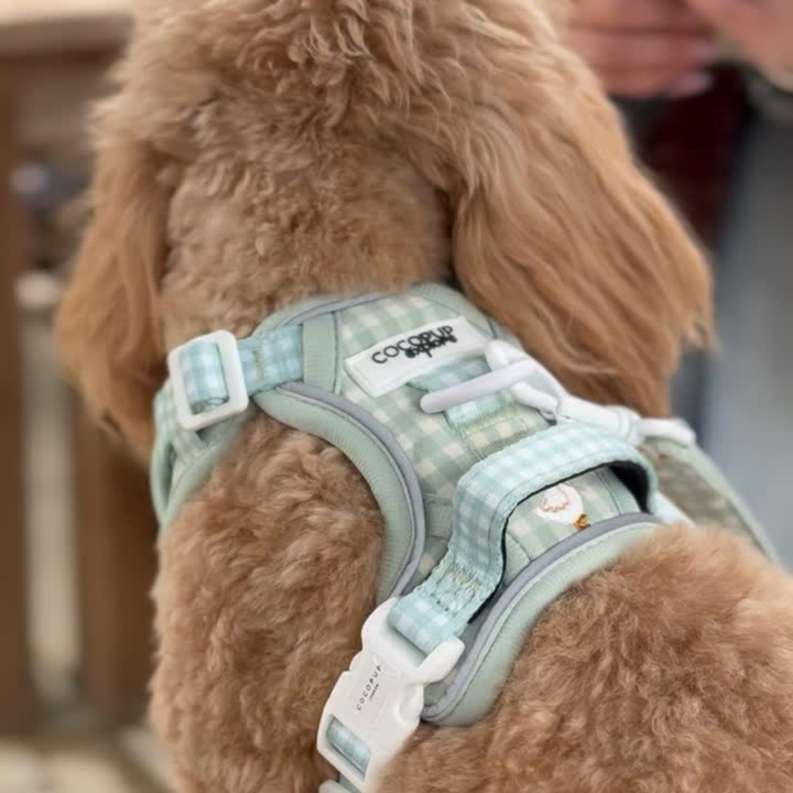 Explore Harness - Silly Goose