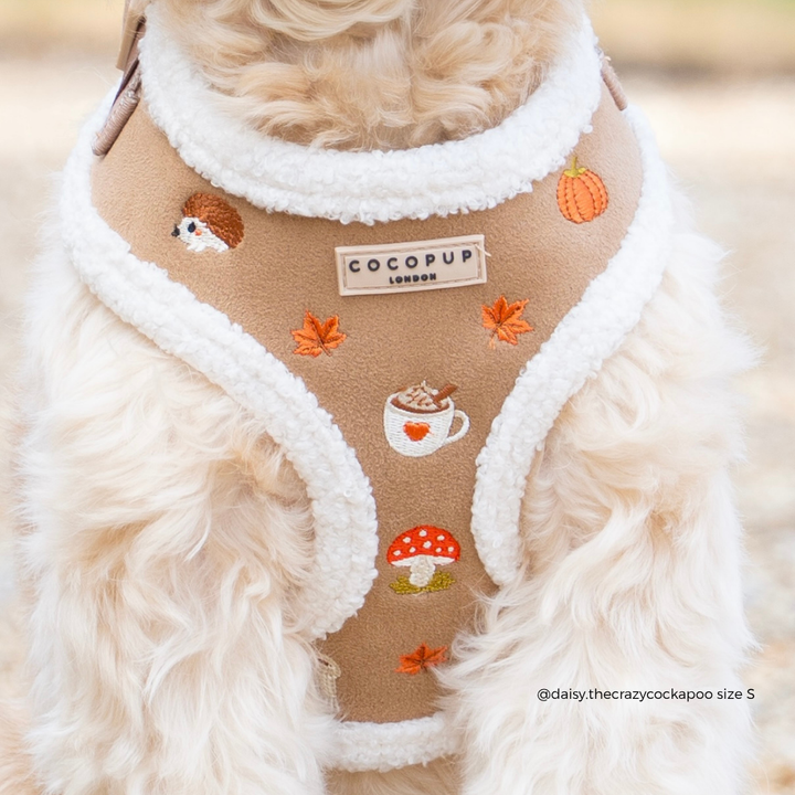A close-up of a fluffy cream-colored dog wearing a tan and white trim harness with autumn-themed embroidered details including a pumpkin, mushroom, coffee cup, and leaves. The brand label reads 'COCOPUP LONDON'.