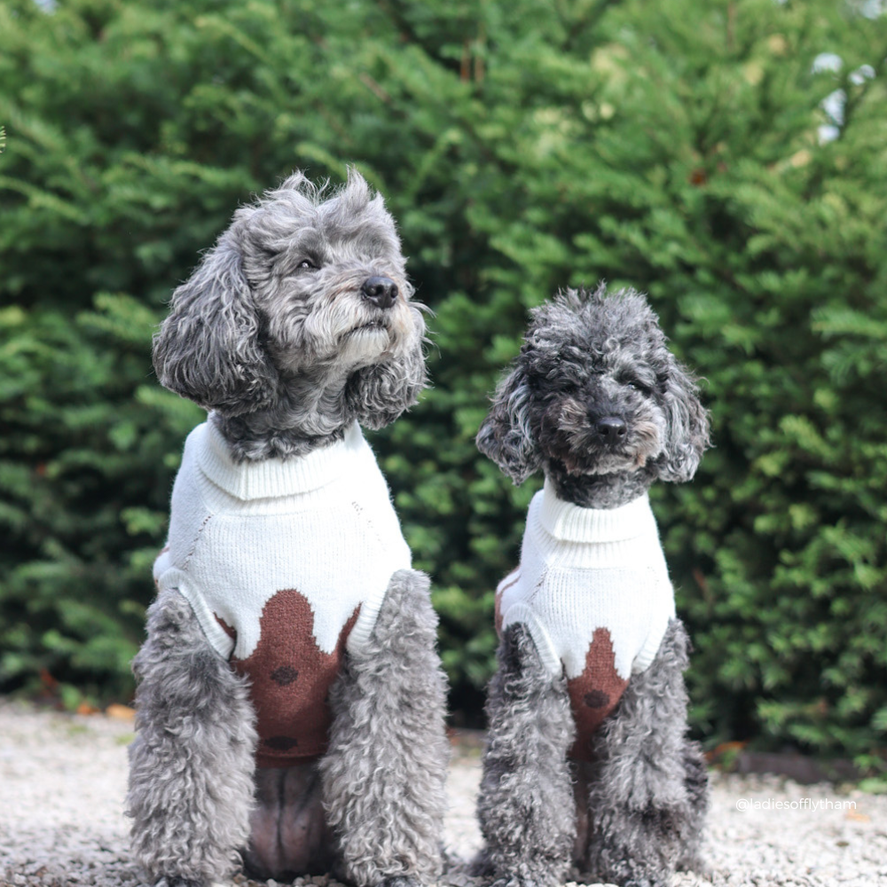 Two gray dogs wearing matching white knit dog sweaters with a brown graphic design, sitting outdoors in front of a green hedge.