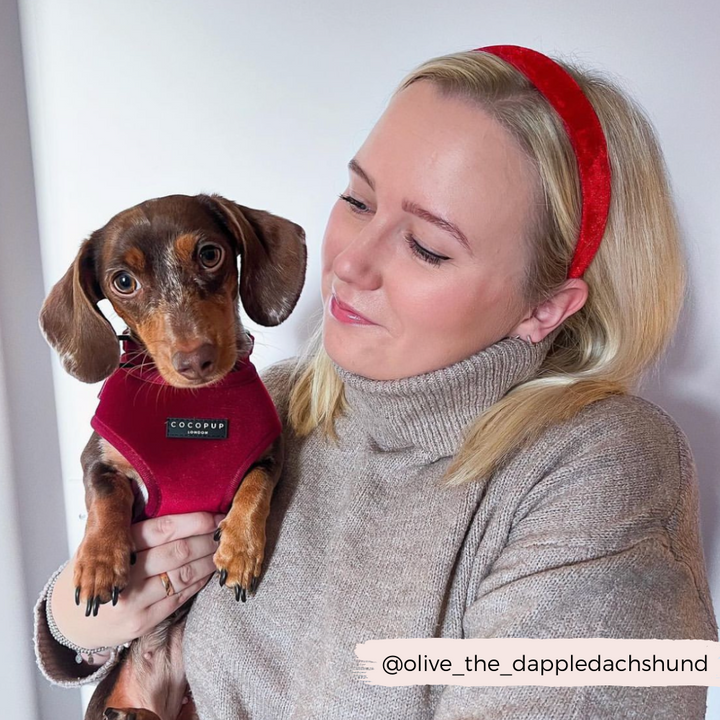 LUXE Velvet Adjustable Neck Harness - Berry Red