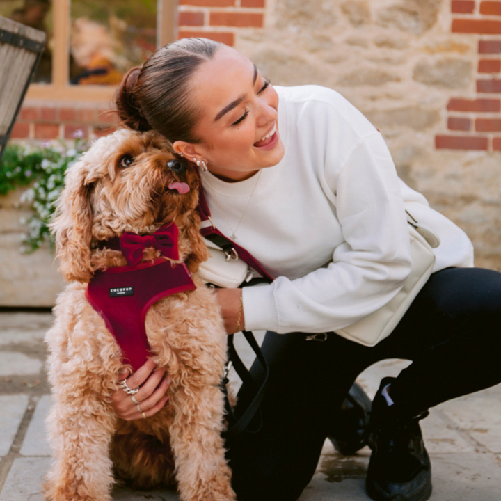 LUXE Velvet Adjustable Neck Harness - Berry Red