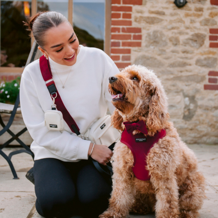 LUXE Velvet Adjustable Neck Harness - Berry Red