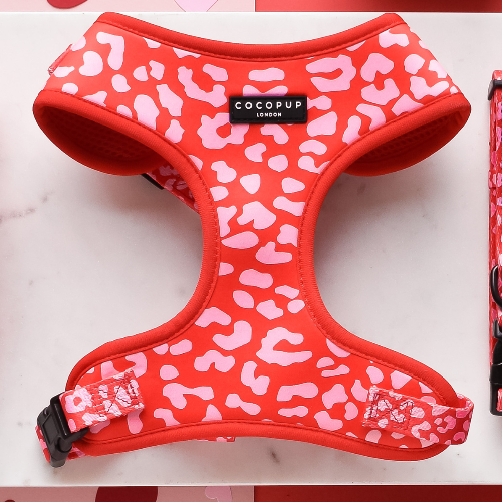 Red & Pink Leopard Adjustable Neck Harness, Lead & Collar Bundle