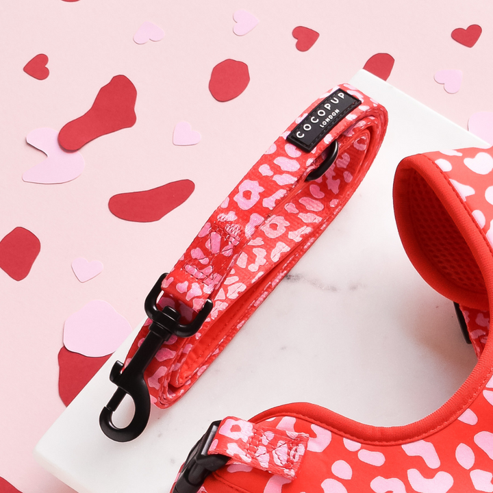 A vibrant Red & Pink Leopard Adjustable Neck Harness, Lead & Collar Bundle from Cocopup London is laid neatly on a light pink surface, surrounded by heart-shaped confetti. This lead, which is perfectly paired with an adjustable dog collar, features a black clasp and a branded tag that reads "Cocopup London.