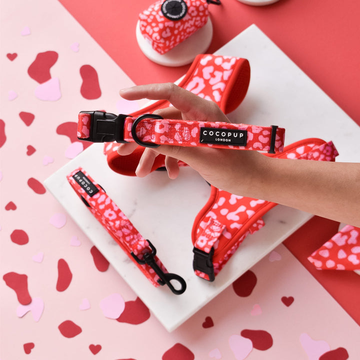 A person holding an adjustable dog collar from the Red & Pink Leopard Adjustable Neck Harness, Lead & Collar Bundle by Cocopup London. The setup includes a matching dog collar, neck harness, bandana, and poop bag dispenser laid out on a marble surface with a heart-themed background.