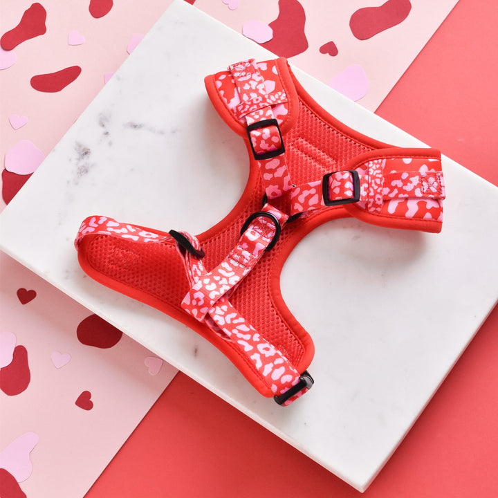 A Red & Pink Leopard Adjustable Neck Harness, Lead & Collar Bundle from Cocopup London is displayed on a white marble surface. The background features a vibrant red and pink design with heart-shaped cutouts, creating a playful and loving atmosphere.