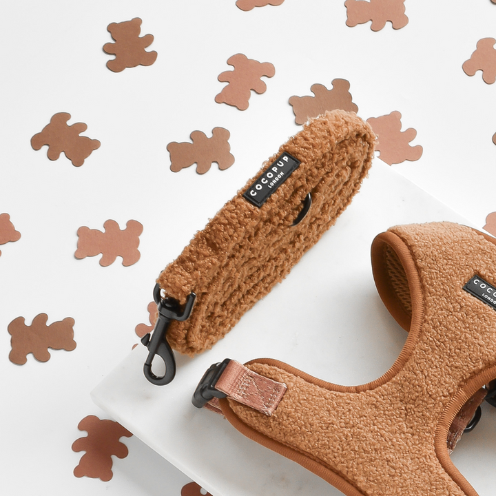 A brown dog accessories set consisting of a harness and matching leash is placed on a white background scattered with light brown bear-shaped confetti. The brand label on the harness and leash reads "Cocopup London." Made from soft neoprene material, the adjustable neck harness promises comfort for pets, featuring the Teddy Paddington Adjustable Neck Harness, Lead & Collar Bundle.