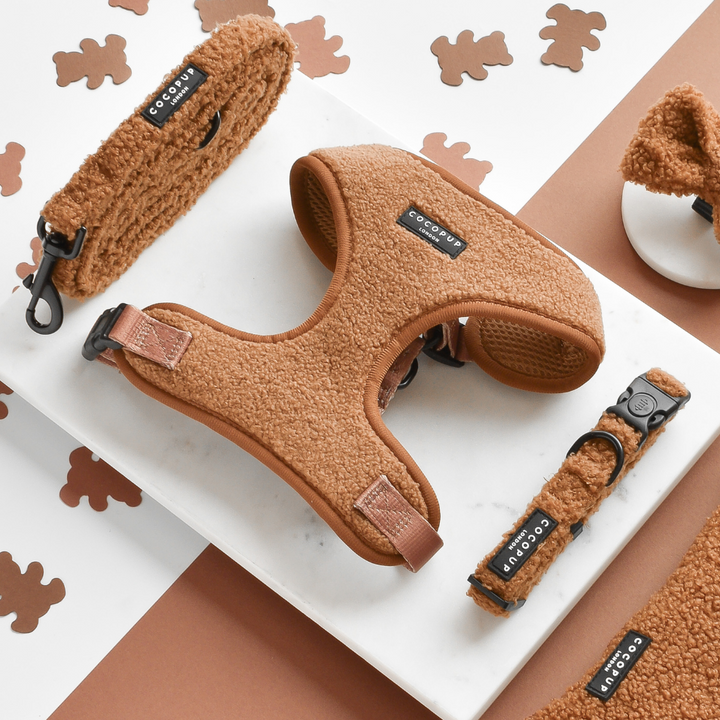 teddy paddington bundle (lead, collar,harness)